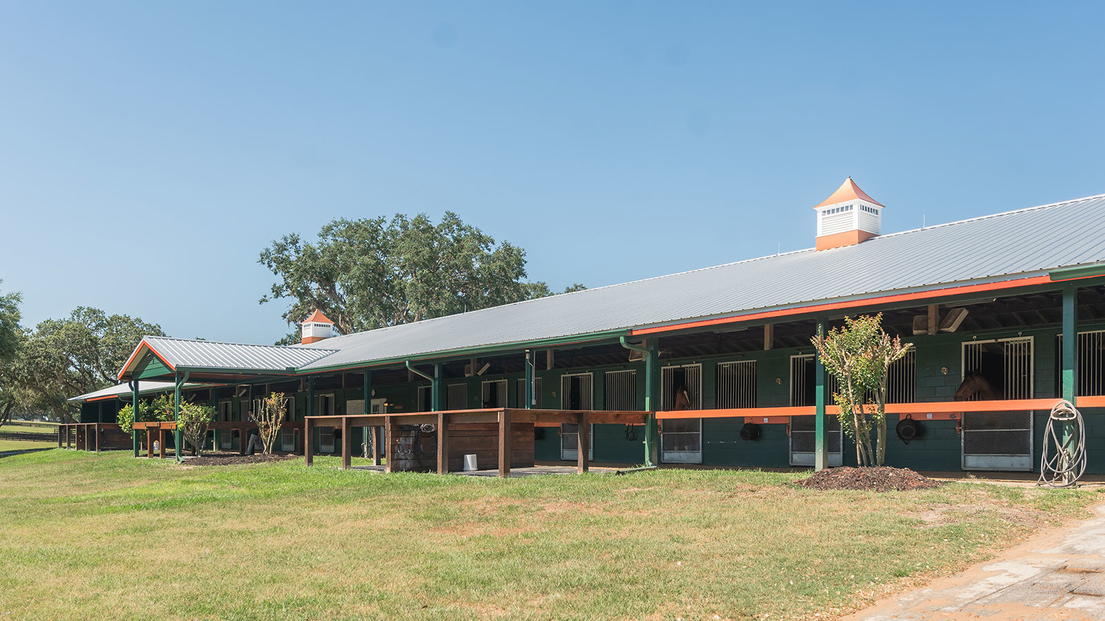 Barn for rent at Oak Ridge training center- Florida's Best Thoroughbred Training Facility