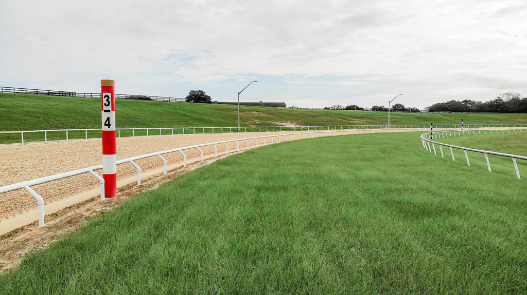 The 7/8th mile turf track for race horse training at Oak Ridge Training Center