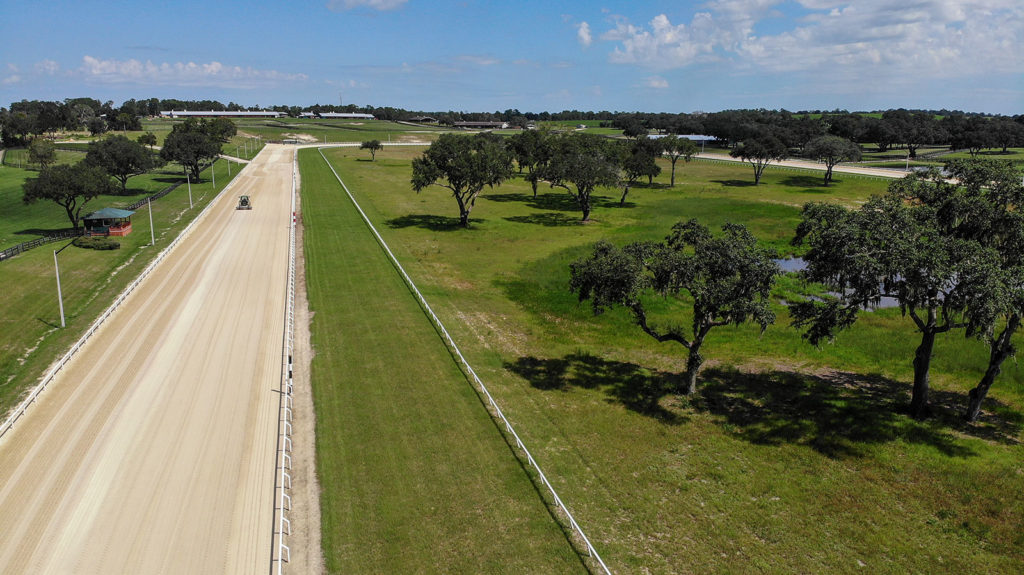 Oak Ridge Training Center's dirt and turf tracks are the best training track in florida