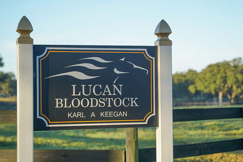 Lucan Bloodstock at Oak Ridge Training Center