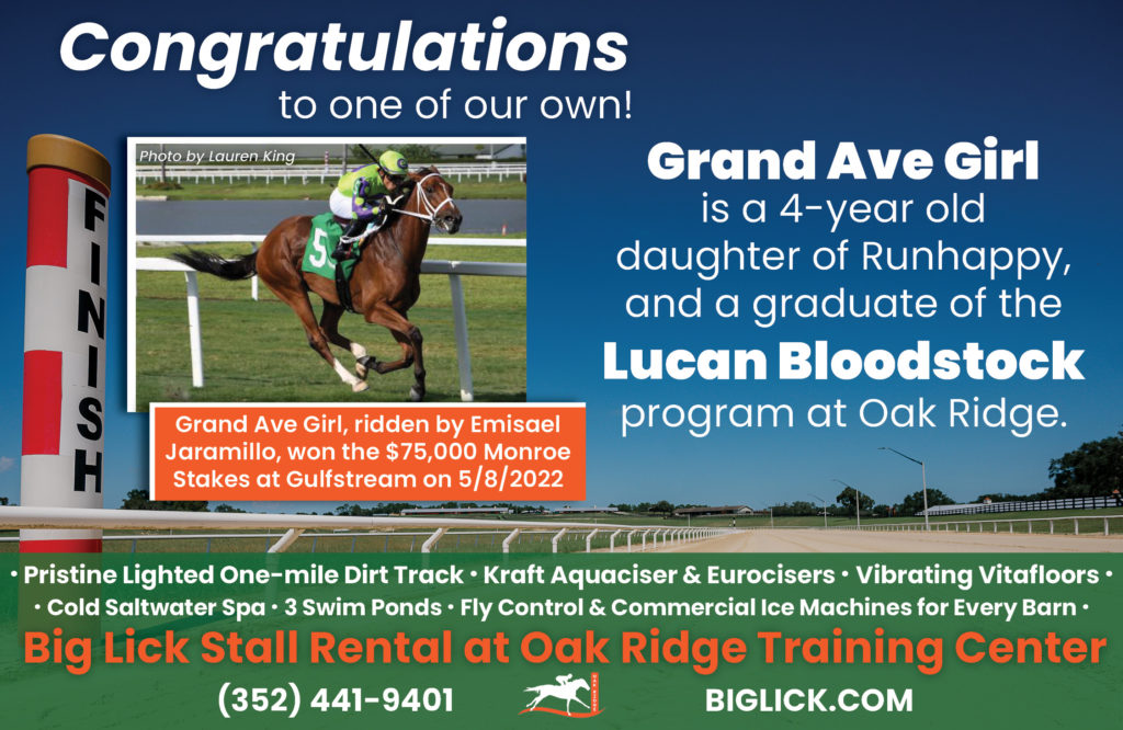 Grand Ave Girl graduate of the Lucan Bloodstock program at oak ridge training center