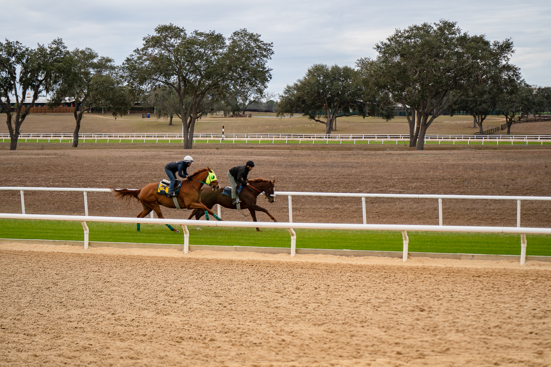 Florida's best turf track for training thoroughbreds
